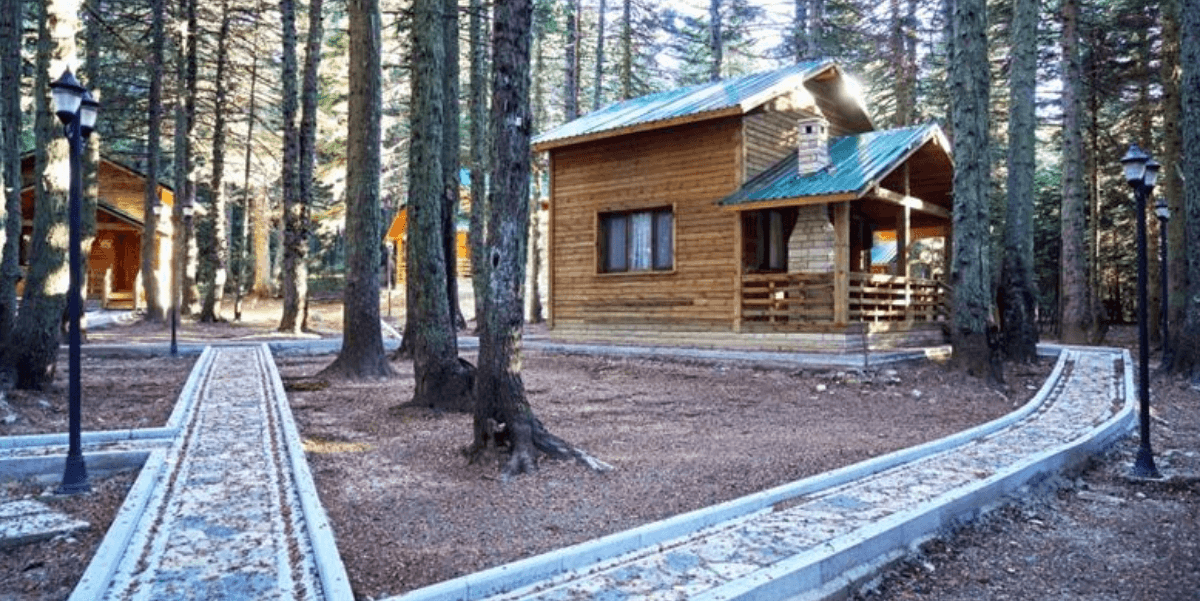 Uludağ National Park Wooden Country Houses-Technical Consultancy