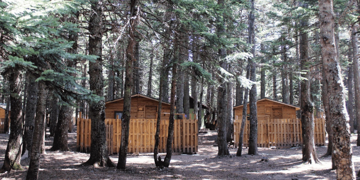 Construction of a Wooden Shed in Uludag National Park - Project Design