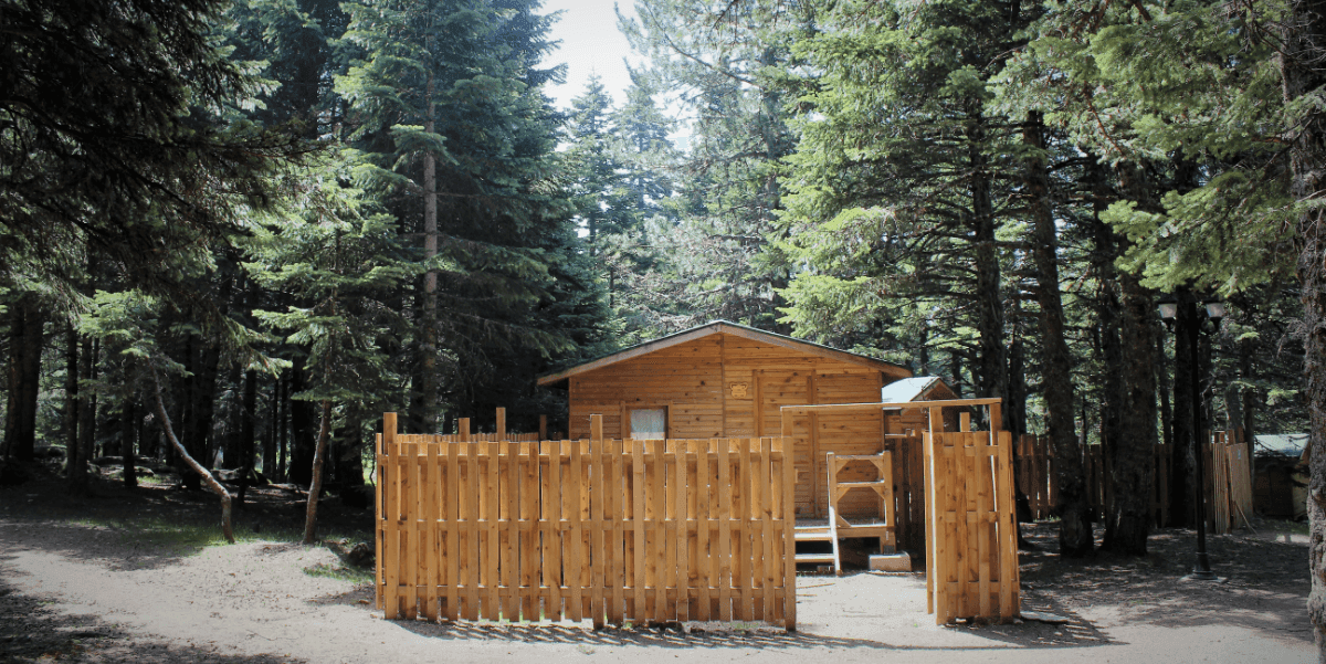 Construction of a Wooden Shed in Uludag National Park - Project Design