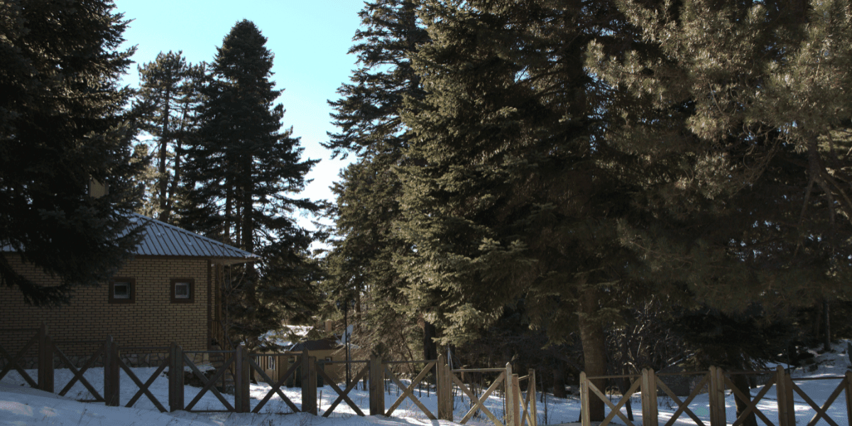 Uludag National Park Kirazlıyayla Service Buildings Repair Work