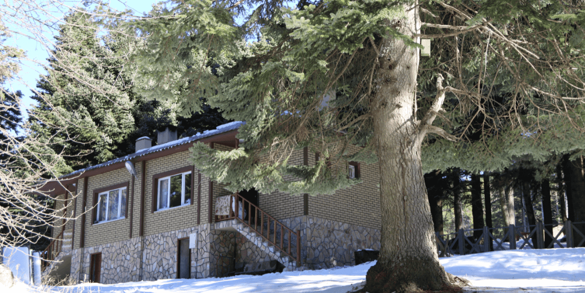 Uludag National Park Kirazlıyayla Service Buildings Repair Work